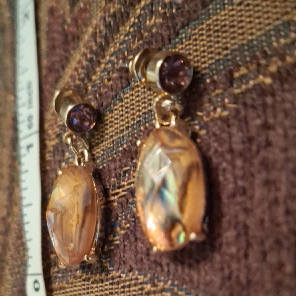 Elegant Gold and Brown Dangle Earrings